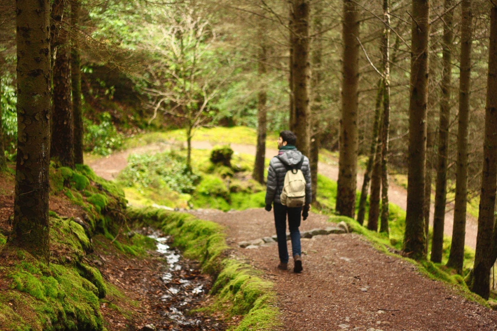 Man on a hike in nature