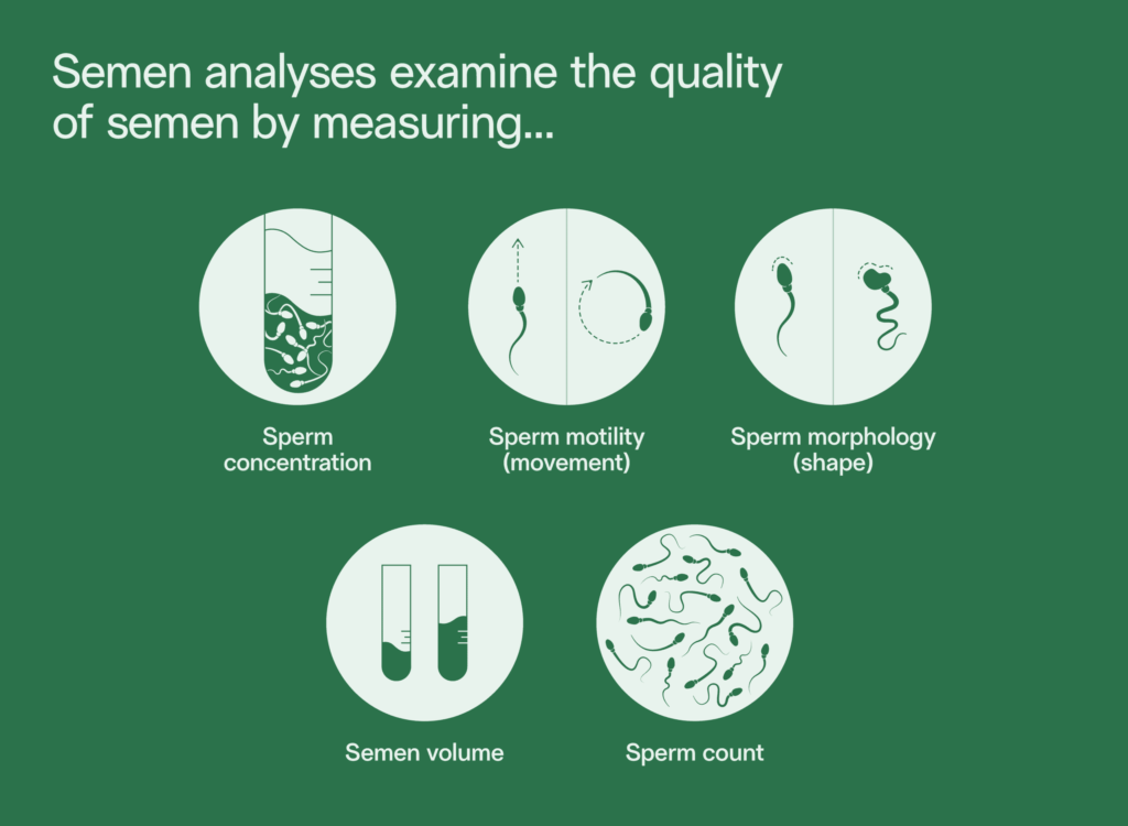 explanation of semen analysis