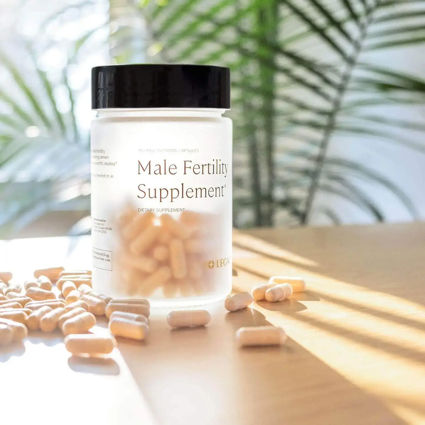 Male fertility supplement