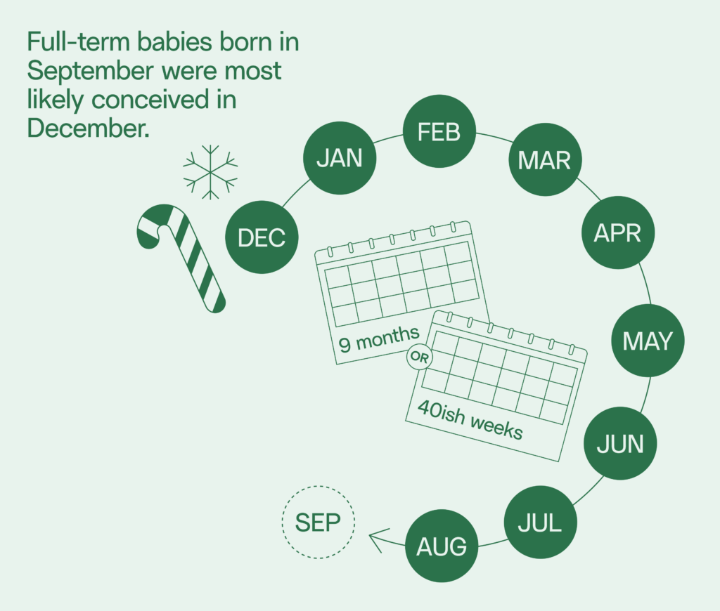 Why is September the most common birth month? - Give Legacy