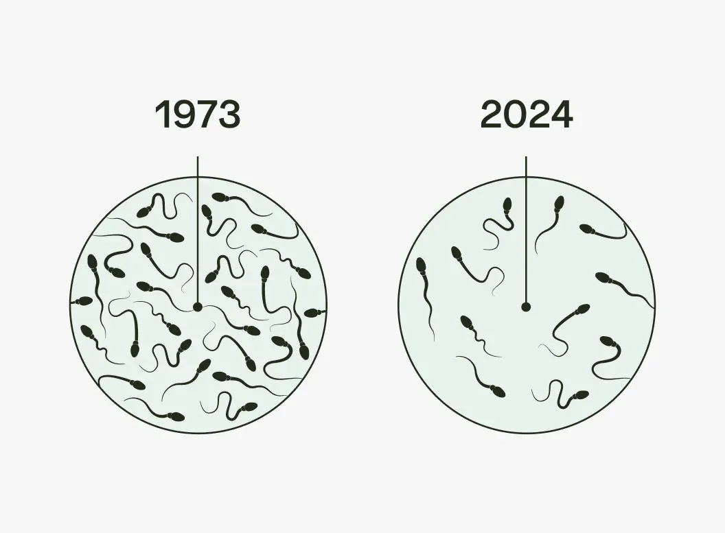 Your Sperm comparison graphic 