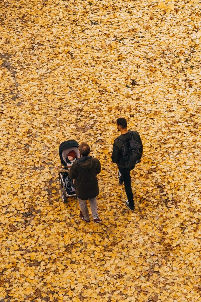 Why Is September the Most Common Birth Month? Exploring the Reasons Behind This Trend