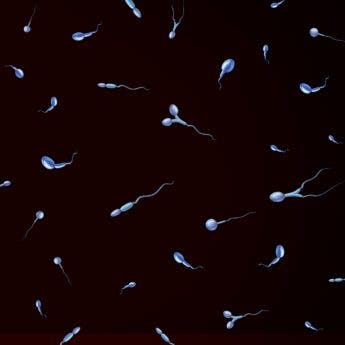 Maxman Penis Enlargement Oil In Lahore