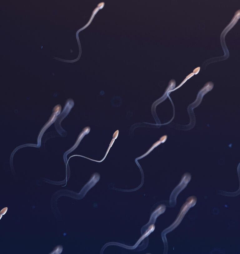 Do (cis) men get periods? What is male PMS? - Give Legacy