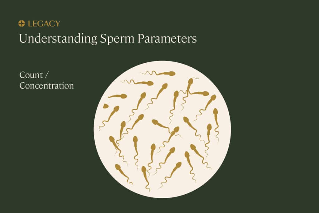Sperm quality what it is and how to improve it Legacy