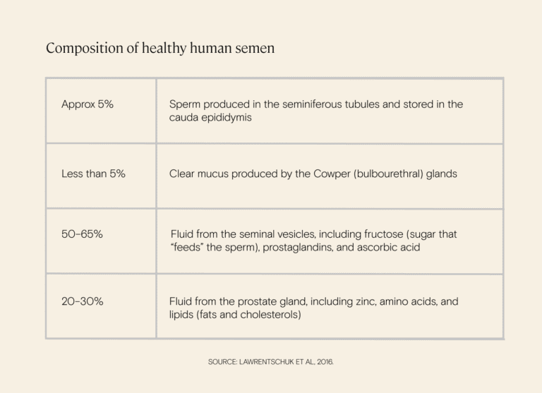 What is semen, and how does semen affect fertility? Legacy