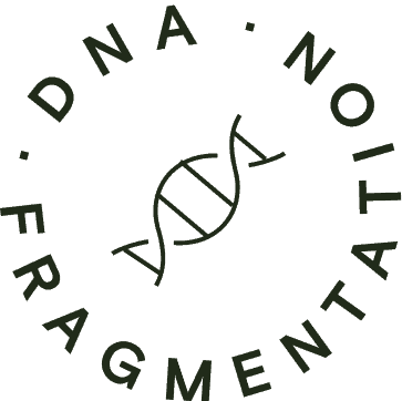 DNA fragmentation