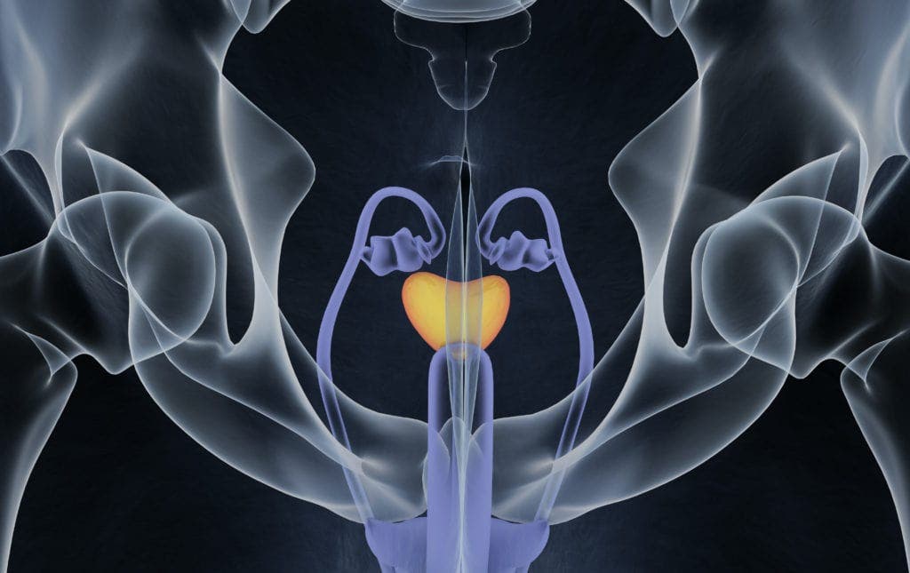 The importance of the vas deferens Legacy